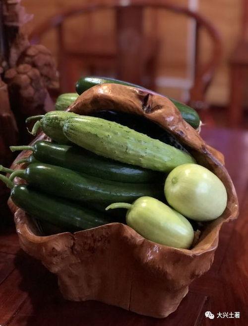 网红刘二萌吃瓜,揭秘娱乐圈幕后真相