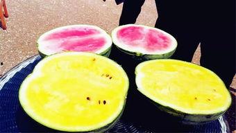 网红吃瓜大爆料图片,揭秘娱乐圈幕后真相