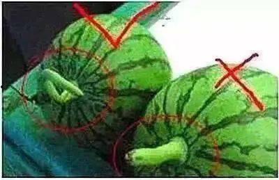 吃瓜网62,揭秘娱乐圈背后的那些事儿