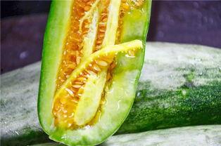 有哪些网红被吃瓜,盘点那些因吃瓜事件引发热议的明星