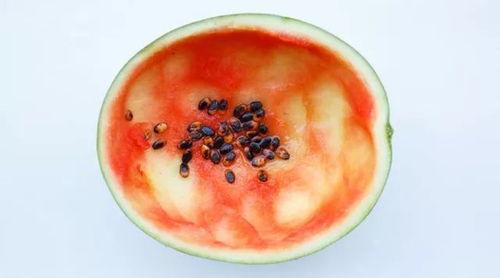 网红大勺子吃瓜视频大全,揭秘娱乐圈幕后故事