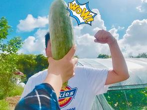 吃瓜最新事件网红有谁,吃瓜群众聚焦最新事件