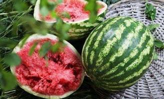 意大利吃瓜网,揭秘意大利美食背后的故事与趣闻