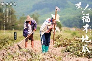 通山网红吃瓜群众