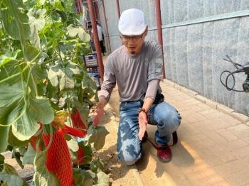 网红世界同台吃瓜,同台吃瓜，揭秘娱乐圈幕后风云