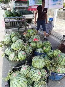 阜新吃瓜事件网红视频