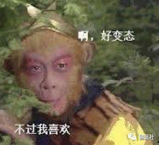 韩网吃瓜新西游记表情包,韩网吃瓜群众狂欢