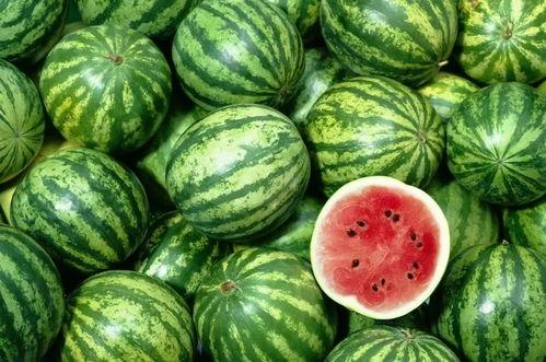 网红吃瓜出售信息最新,揭秘热门瓜料背后的秘密与商机