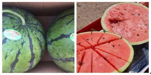 吃瓜网不能登录了吗