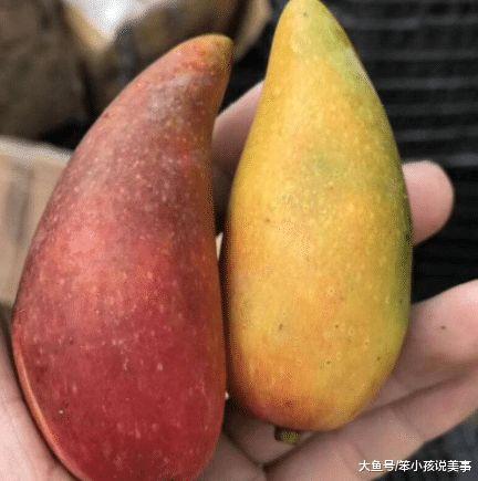 网红吃瓜送什么礼物好呢,这份礼物让你成为焦点！