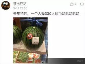 人民吃瓜网在线观看,在线观看，畅享欢乐时光
